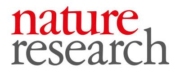 Nature Research
